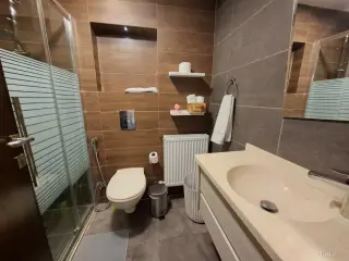 الصورة 9 من 12