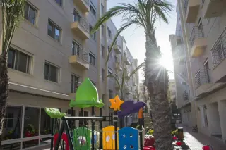 الصورة 11 من 12