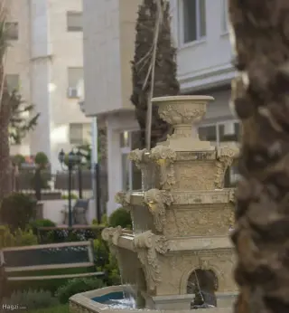 الصورة 9 من 12