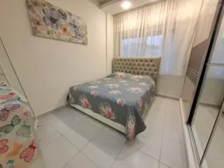 الصورة 1 من 12