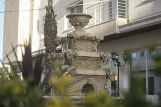 الصورة 10 من 12