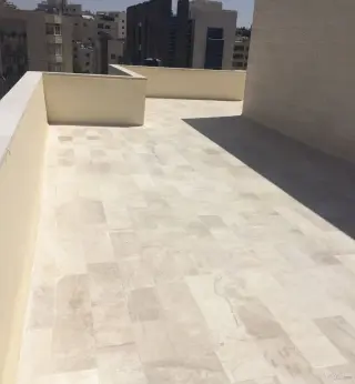 الصورة 2 من 12