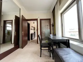 الصورة 7 من 12