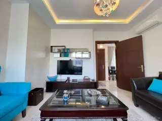 الصورة 8 من 12
