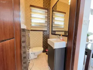 الصورة 10 من 12