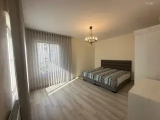 الصورة 9 من 12