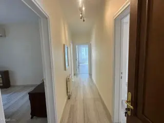 الصورة 6 من 12
