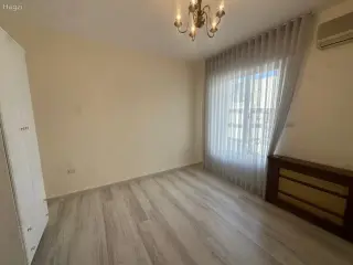 الصورة 8 من 12