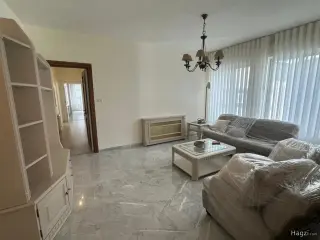 الصورة 5 من 12