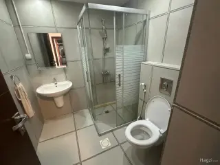 الصورة 5 من 9