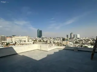 الصورة 1 من 12