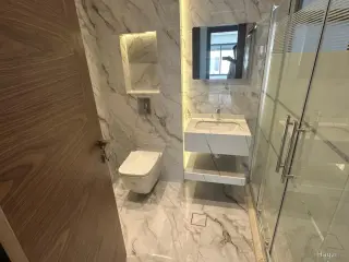 الصورة 12 من 12