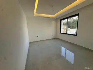 الصورة 12 من 12