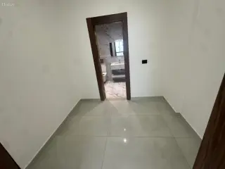 الصورة 11 من 12