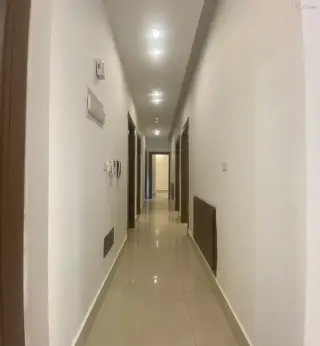 الصورة 11 من 12