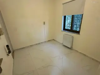الصورة 7 من 12