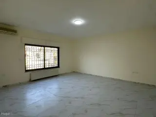 الصورة 10 من 12