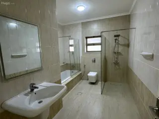 الصورة 11 من 12