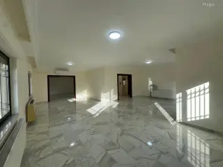 الصورة 1 من 12