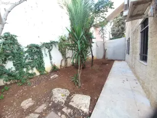 الصورة 4 من 12