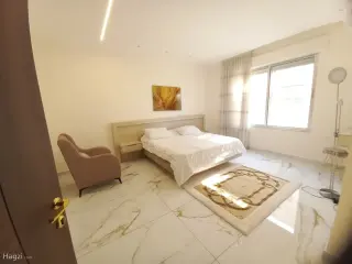 الصورة 12 من 12