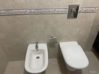 الصورة 11 من 12