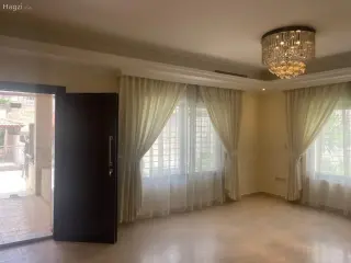 الصورة 4 من 12