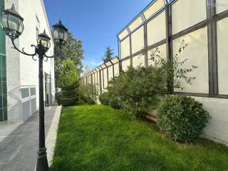 Photograph 5 of 12
