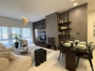 الصورة 12 من 12