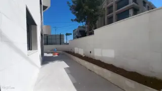 الصورة 4 من 10