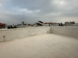 الصورة 1 من 10