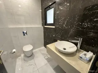الصورة 6 من 12