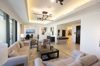 الصورة 6 من 12