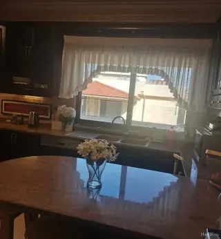 الصورة 11 من 12