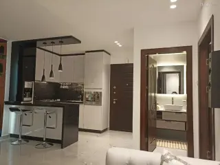 الصورة 11 من 12