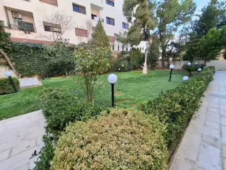Photograph 7 of 12