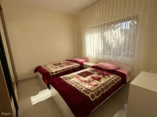 الصورة 11 من 12