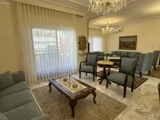 الصورة 4 من 12