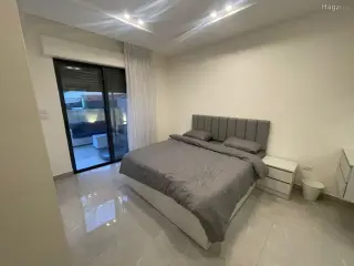 الصورة 8 من 12