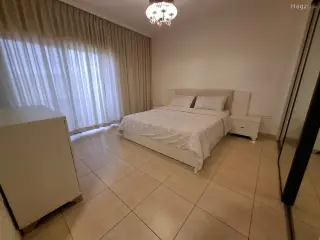 الصورة 2 من 7