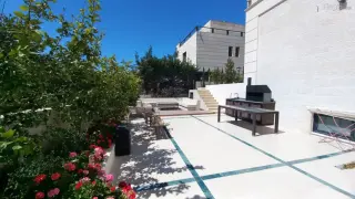 الصورة 2 من 12
