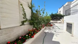الصورة 3 من 12