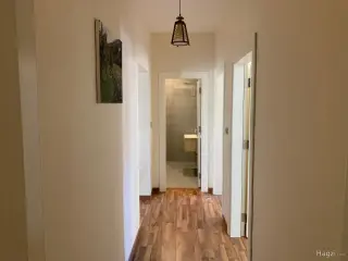 الصورة 3 من 12
