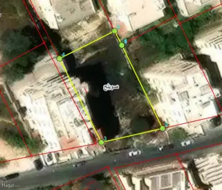 الصورة 2 من 2