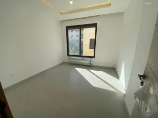 الصورة 6 من 12