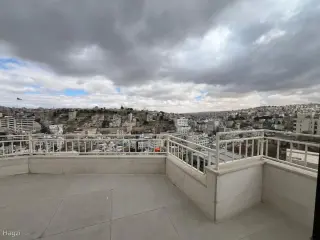 الصورة 7 من 8