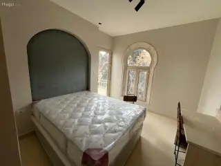 الصورة 3 من 8