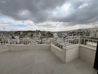 الصورة 6 من 8