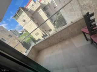 الصورة 12 من 12