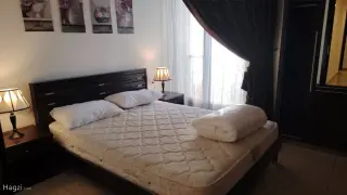 الصورة 12 من 12
